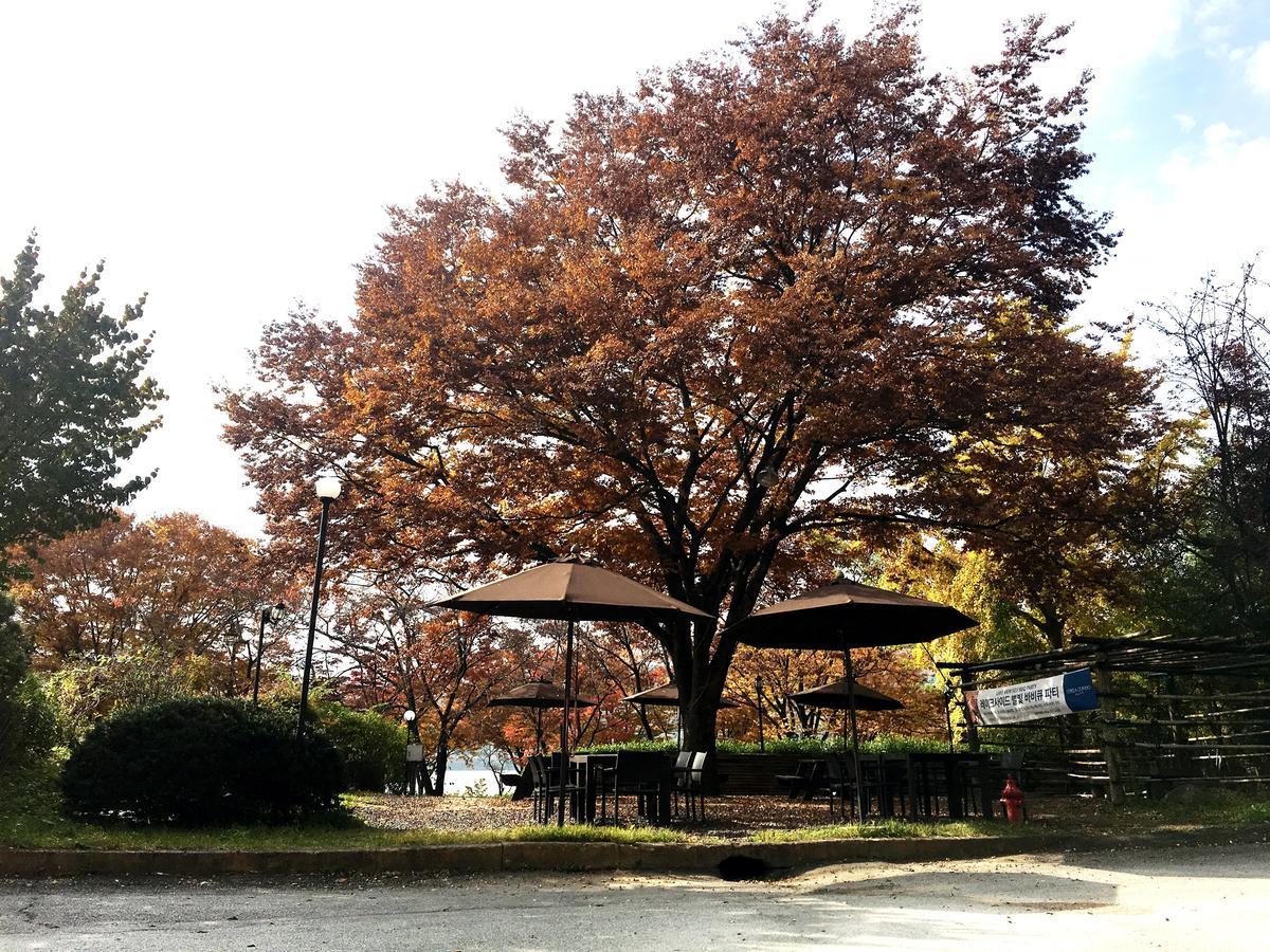 Corea Condo Gyeongju Exterior photo